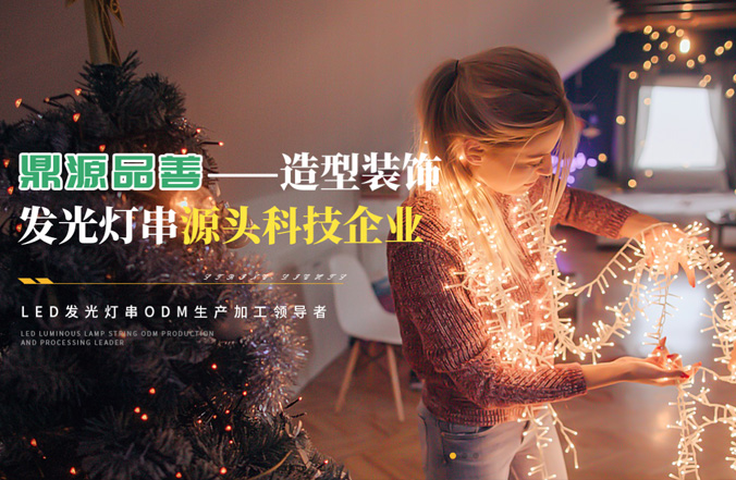 深圳鼎源品善科技有限公司